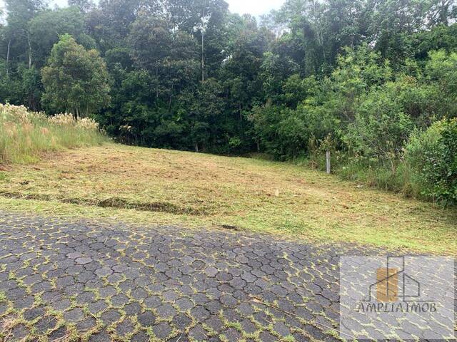 #89 - Área para Venda em Siderópolis - SC - 1