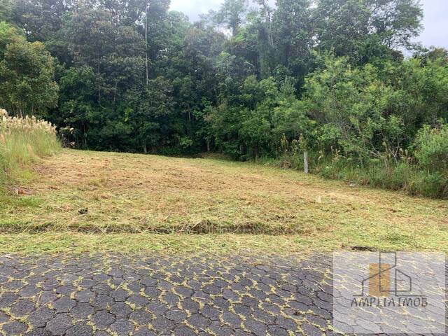 #89 - Área para Venda em Siderópolis - SC - 3