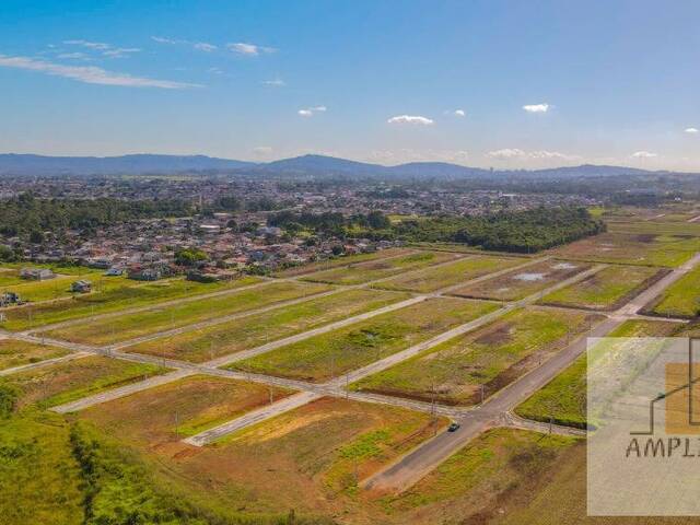 #106 - Área para Venda em Criciúma - SC - 1